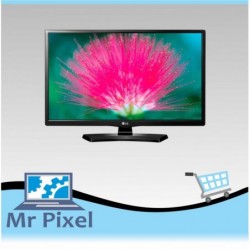 Monitor LED LG 24`